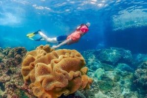 Pattaya: Nemo Island Experience Drone-kuvilla ja lounaalla.