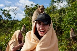 Pattaya : excursion d'une journée dans les 3 îles en catamaran avec déjeuner buffet