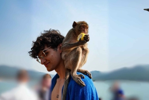 Pattaya : excursion d'une journée dans les 3 îles en catamaran avec déjeuner buffet