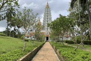 Pattaya: Checkout Temple Tour