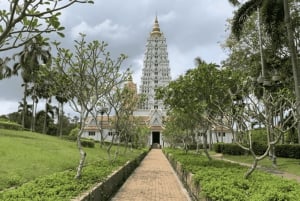Pattaya: Checkout Tempel Tour