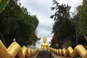 Pattaya: Checkout Tempel Tour