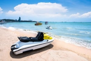 Pattaya & Coral Island 2-Day Private Tour From Bangkok