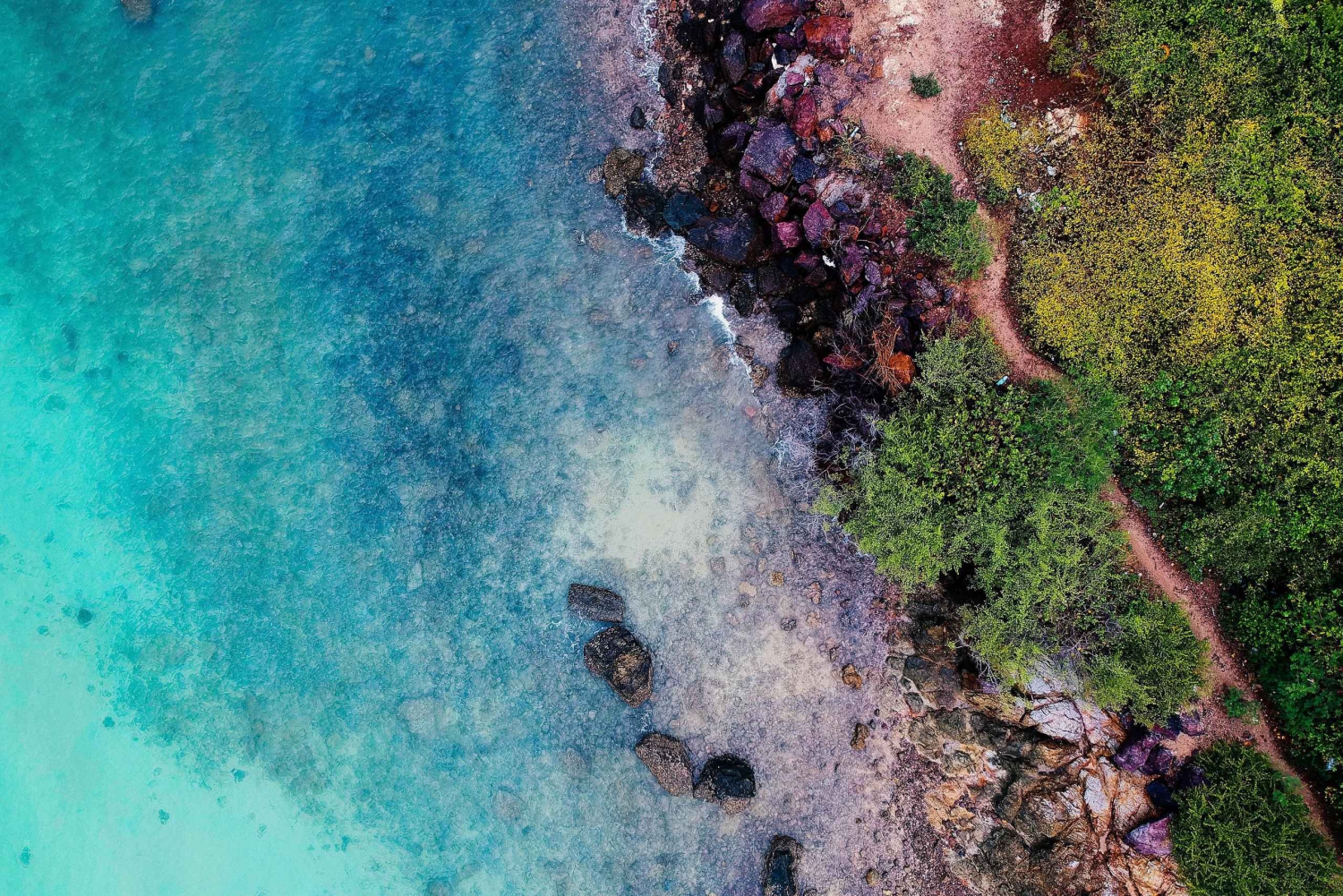 2-tägige Tour von Bangkok nach Pattaya und zur Koralleninsel