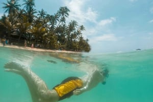 Pattaya: Halvdags tur til Coral Island med indisk lunsj
