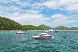Pattaya: excursión de medio día a la isla Coral con almuerzo indio