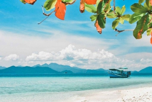Pattaya: gita di 1 giorno a Coral Island (Koh Larn) con pranzo a base di pesce