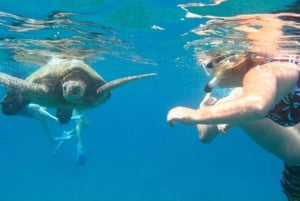 Pattaya: snorkel en la isla Coral, motos acuáticas, banana, almuerzo.