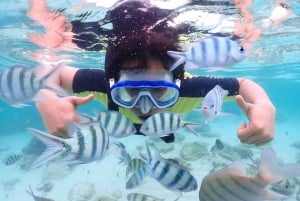 パタヤ:コーラルアイランド・スピードボート・ランチ・アクティビティ(選択制)