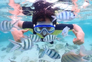 Pattaya: Coral Island – Schnellboot – Mittagessen – Aktivitäten nach Wahl