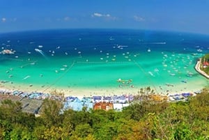 Pattaya: Coral Island Speed Boat, Sea Walker og frokost