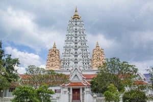 Pattaya: Dagsutflykt privat tur