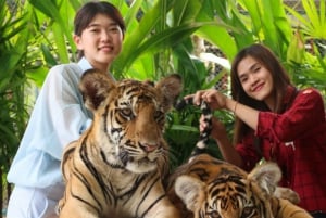 Da Bangkok/Pattaya: Escursione privata su misura a Pattaya
