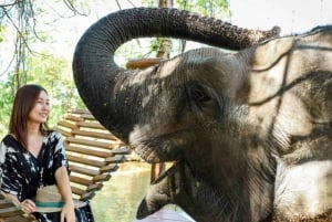 Da Bangkok/Pattaya: Escursione privata su misura a Pattaya