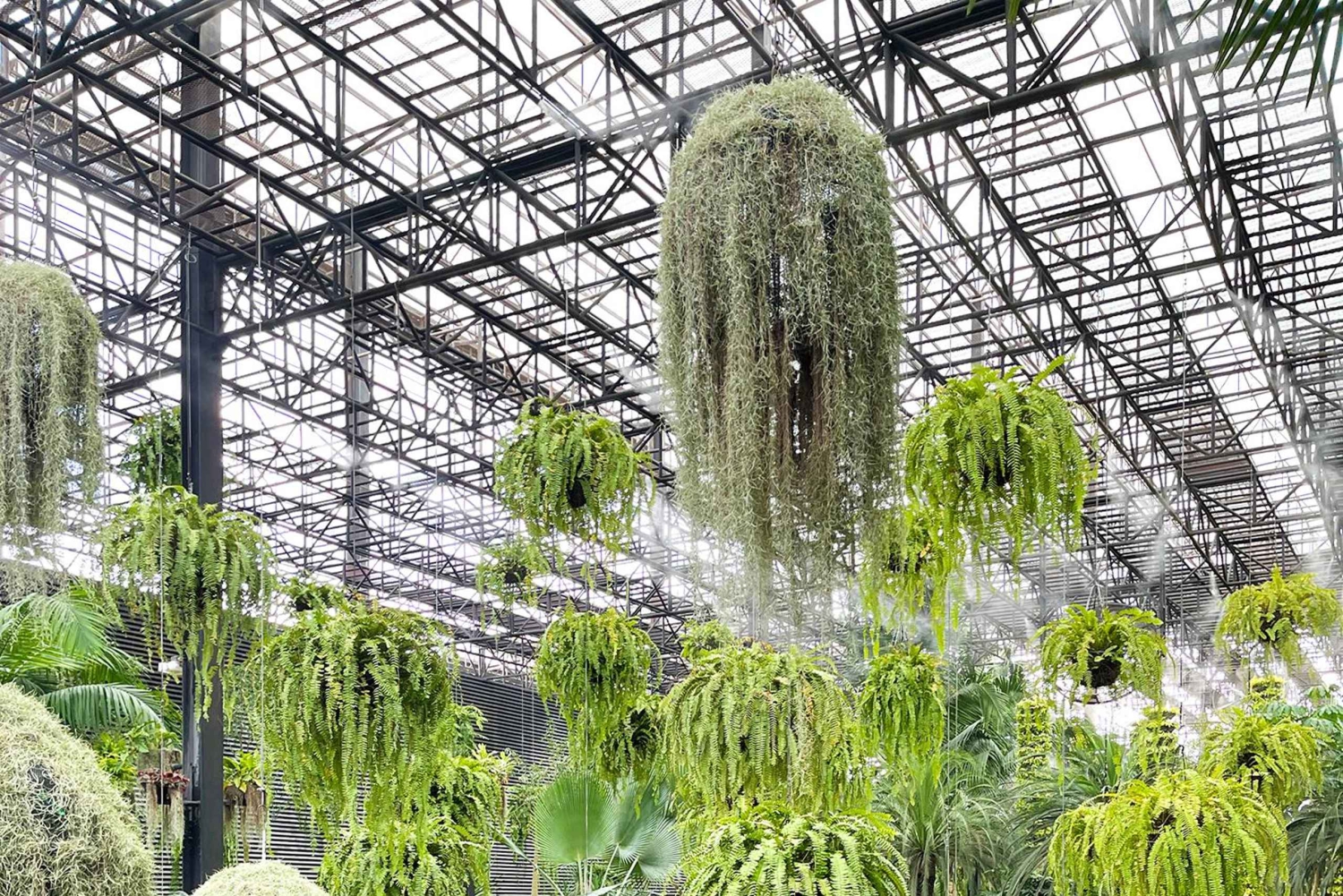 Pattaya Discovery Private Tour from Bangkok