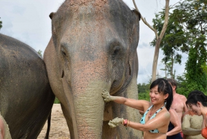 Pattaya: Ethical Elephant Sanctuary Interactive Tour