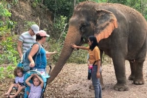 Pattaya: Interaktiv rundtur i etiskt elefantreservat