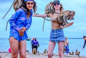 パタヤ：カタマランで行く3つの島への特別ツアー（ビュッフェ式ランチ付き）