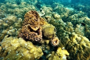 パタヤ：カタマランで行く3つの島への特別ツアー（ビュッフェ式ランチ付き）