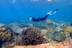 パタヤ：カタマランで行く3つの島への特別ツアー（ビュッフェ式ランチ付き）