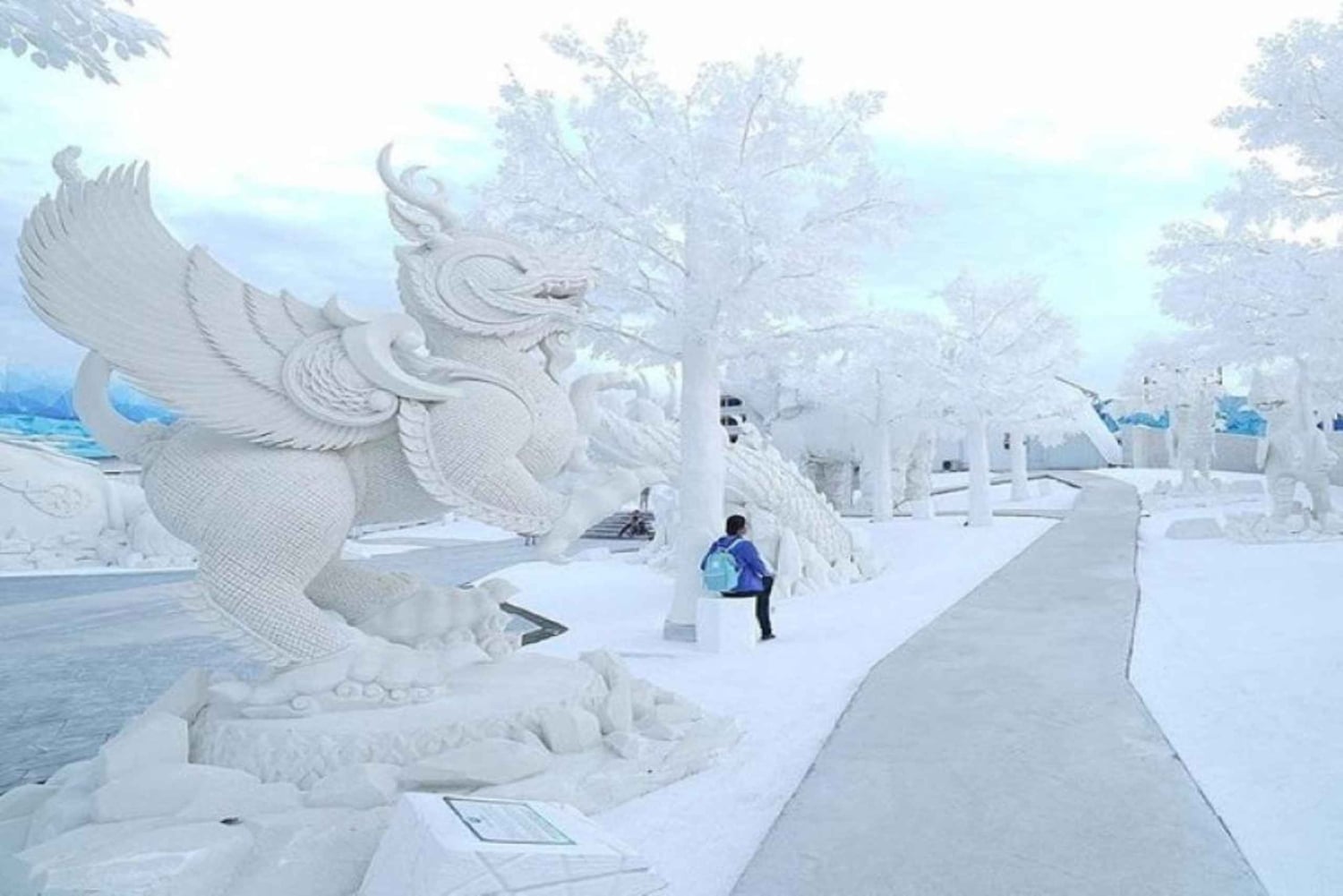 Pattaya: toegang tot Frost Magical Ice of Siam met transfers