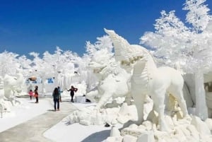 Pattaya: toegang tot Frost Magical Ice of Siam met transfers