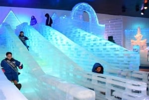 Pattaya: toegang tot Frost Magical Ice of Siam met transfers