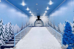 Pattaya: Frost Magical Ice of Siam - Tourist Entry Ticket