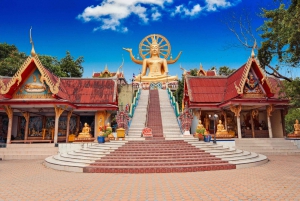 Pattaya: Full-Day Customizable City Tour