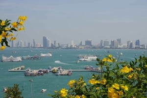 Pattaya: Highlights Tour mit Verkostung und Heiligtum der Wahrheit