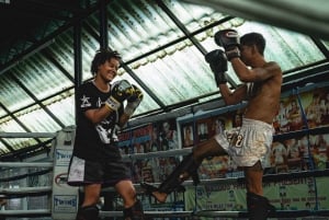 Pattaya: Muay Thai Boxing Introduction Class aloittelijoille: Muay Thai Boxing Introduction Class for Beginners