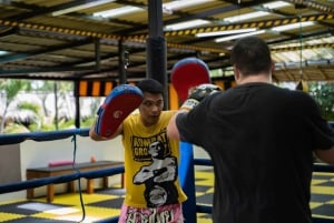 Pattaya: Muay Thai Boxing Introduction Class aloittelijoille: Muay Thai Boxing Introduction Class for Beginners