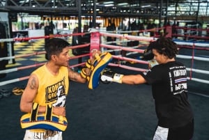 Pattaya: Muay Thai Boxing Introduction Class aloittelijoille: Muay Thai Boxing Introduction Class for Beginners