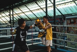 Pattaya: Muay Thai Boxing Introduction Class aloittelijoille: Muay Thai Boxing Introduction Class for Beginners