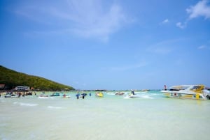 パタヤ島への旅(インド料理のランチ付き、ピックアップ時間はご自由に)