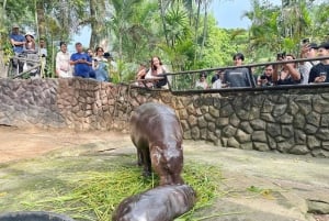 Pattaya : Excursion au zoo de Khao Kheow et au village japonais de J-Park