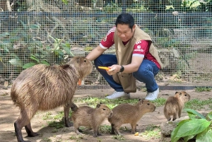 Pattaya : Excursion au zoo de Khao Kheow et au village japonais de J-Park