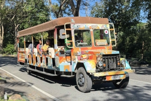 Pattaya : Excursion au zoo de Khao Kheow et au village japonais de J-Park