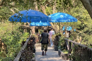 Pattaya : Excursion au zoo de Khao Kheow et au village japonais de J-Park