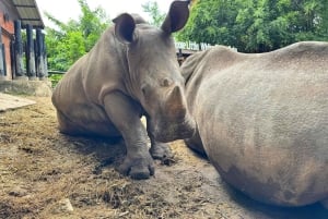 Pattaya : Excursion au zoo de Khao Kheow et au village japonais de J-Park