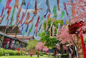 Pattaya : Excursion au zoo de Khao Kheow et au village japonais de J-Park