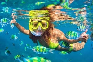 Pattaya Koh Lan-tur｜Henting på hotellet, snorkling og aftersun-spa