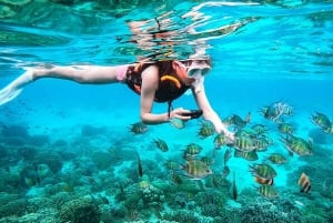 Pattaya Koh Lan-tur｜Henting på hotellet, snorkling og aftersun-spa