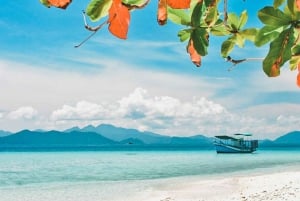 Pattaya: Piratbåttur med DJ och vattenaktiviteter