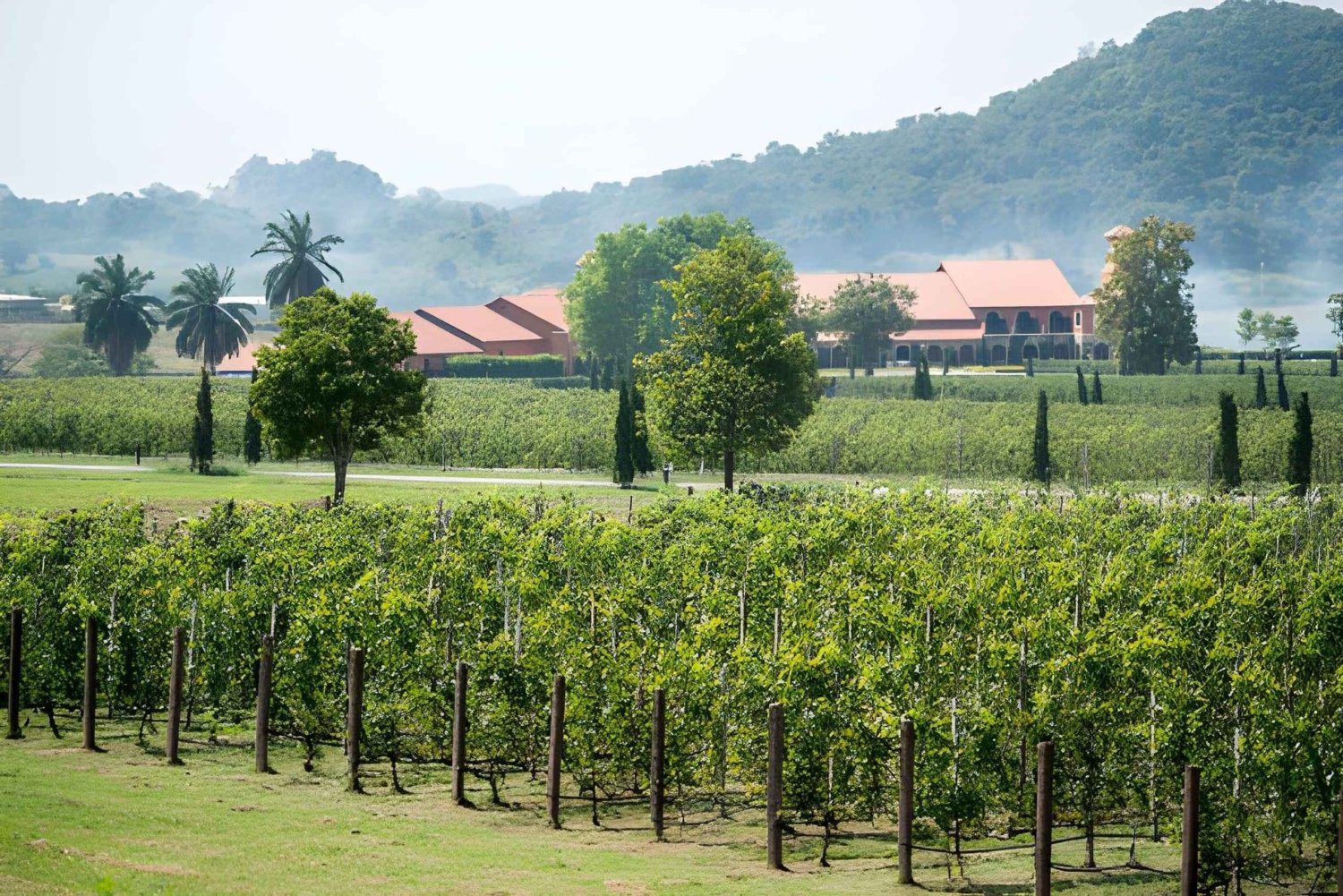 Depuis Bangkok : excursion privée d'une journée à Pattaya