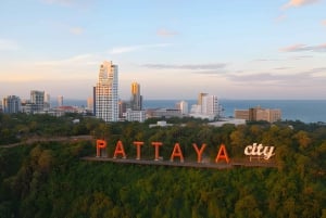 Depuis Bangkok : excursion privée d'une journée à Pattaya