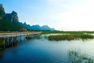 Depuis Bangkok : excursion privée d'une journée à Pattaya