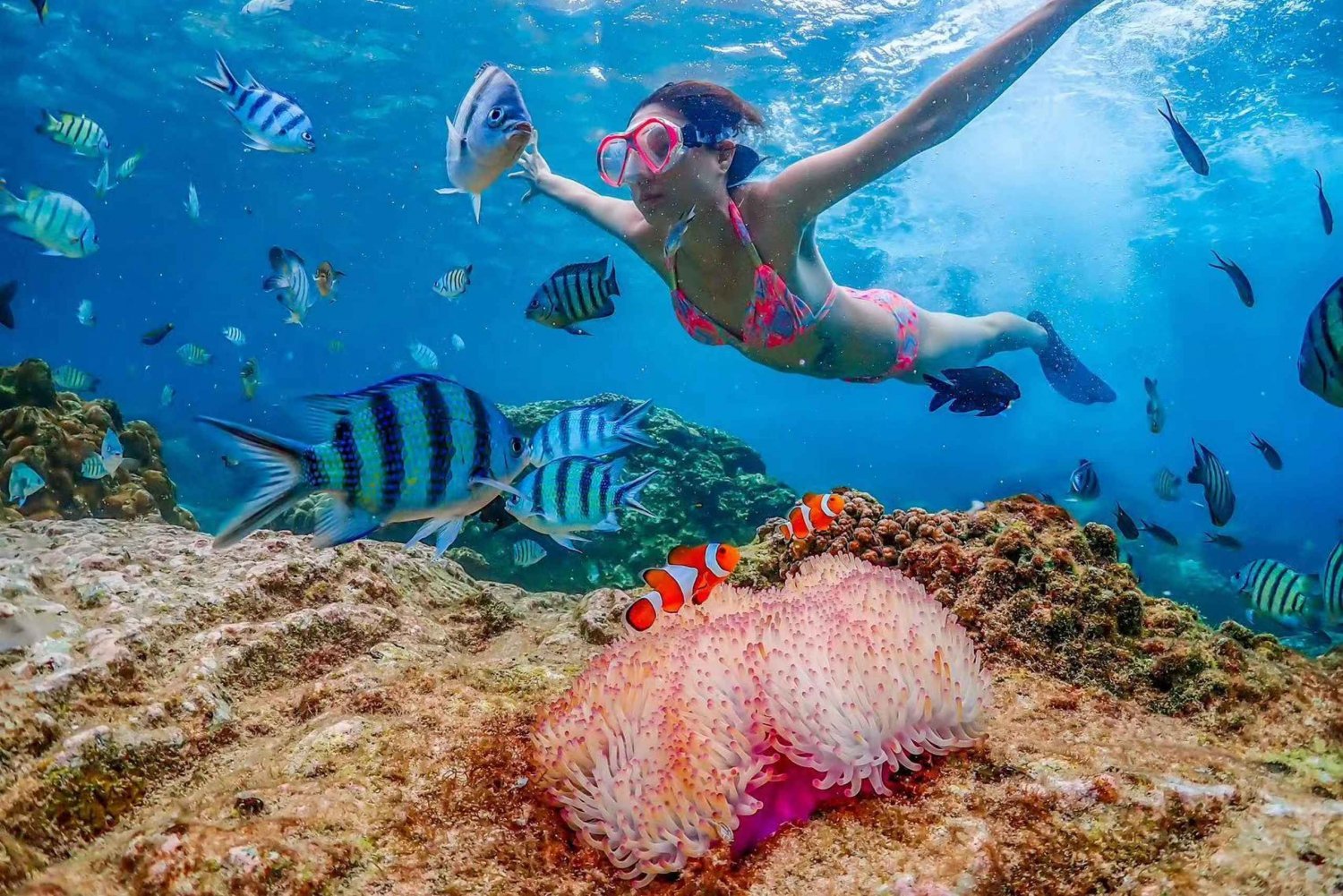 Pattaya: Escursione in barca per lo snorkeling dell'isola di Nemo di una giornata intera