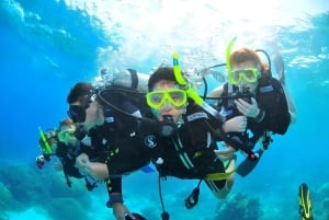 Pattaya: Snorkeling ou mergulho para iniciantes com almoço