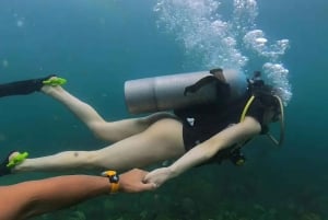 Pattaya: Snorkeling ou mergulho para iniciantes com almoço